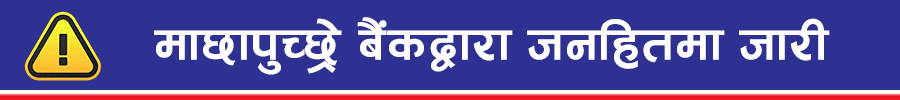 machha bank