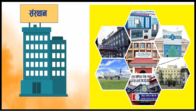 सार्वजनिक संस्थान : २७ नाफा र १६ घाटामा सञ्चालित, दुई बन्द