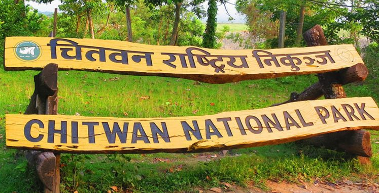 चितवन राष्ट्रिय निकुञ्ज घुम्दै ६ देशका राजदूत