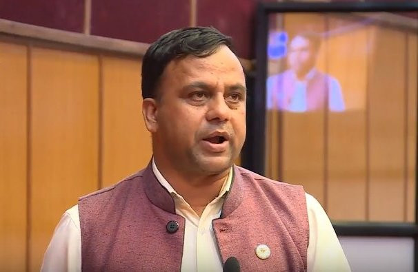 सरकारले शक्तिको आडमा संवैधानिक निकायलाई प्रभावमा पारिरहेकाे छ : पान्डे