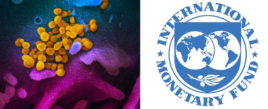 कोभिड-१९ ले विश्वकै आर्थिक वृद्धिमा असर पर्नसक्छः आईएमएफ