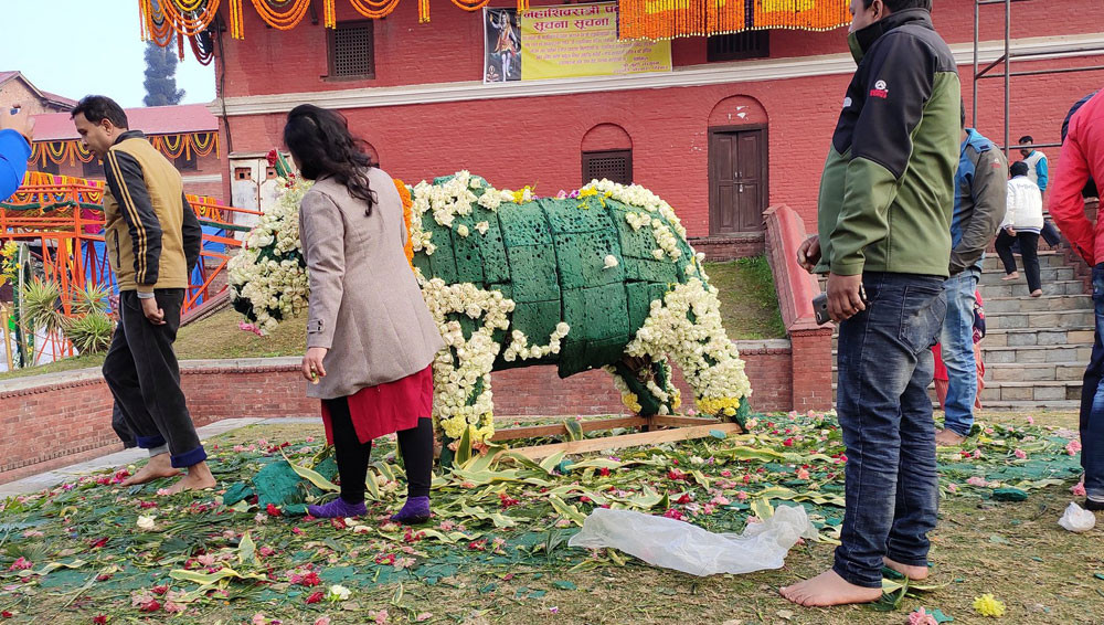 चोरिए पशुपतिमा सजाइएका फूल