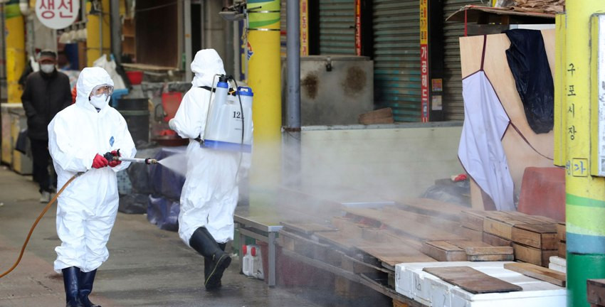 कोरोनाबाट अर्का डाक्टरको मृत्यु