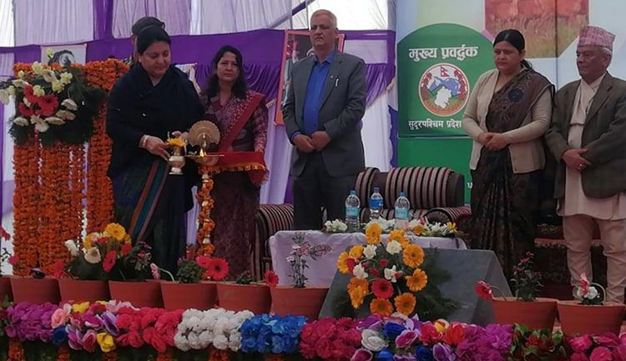 विश्व नेपाली साहित्य महोत्सव सुरु