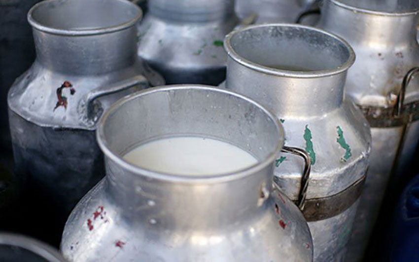 दूध बिक्री नहुँदा किसान मारमा