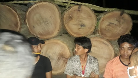 सखुवा तस्करी गर्ने तीन पक्राउ