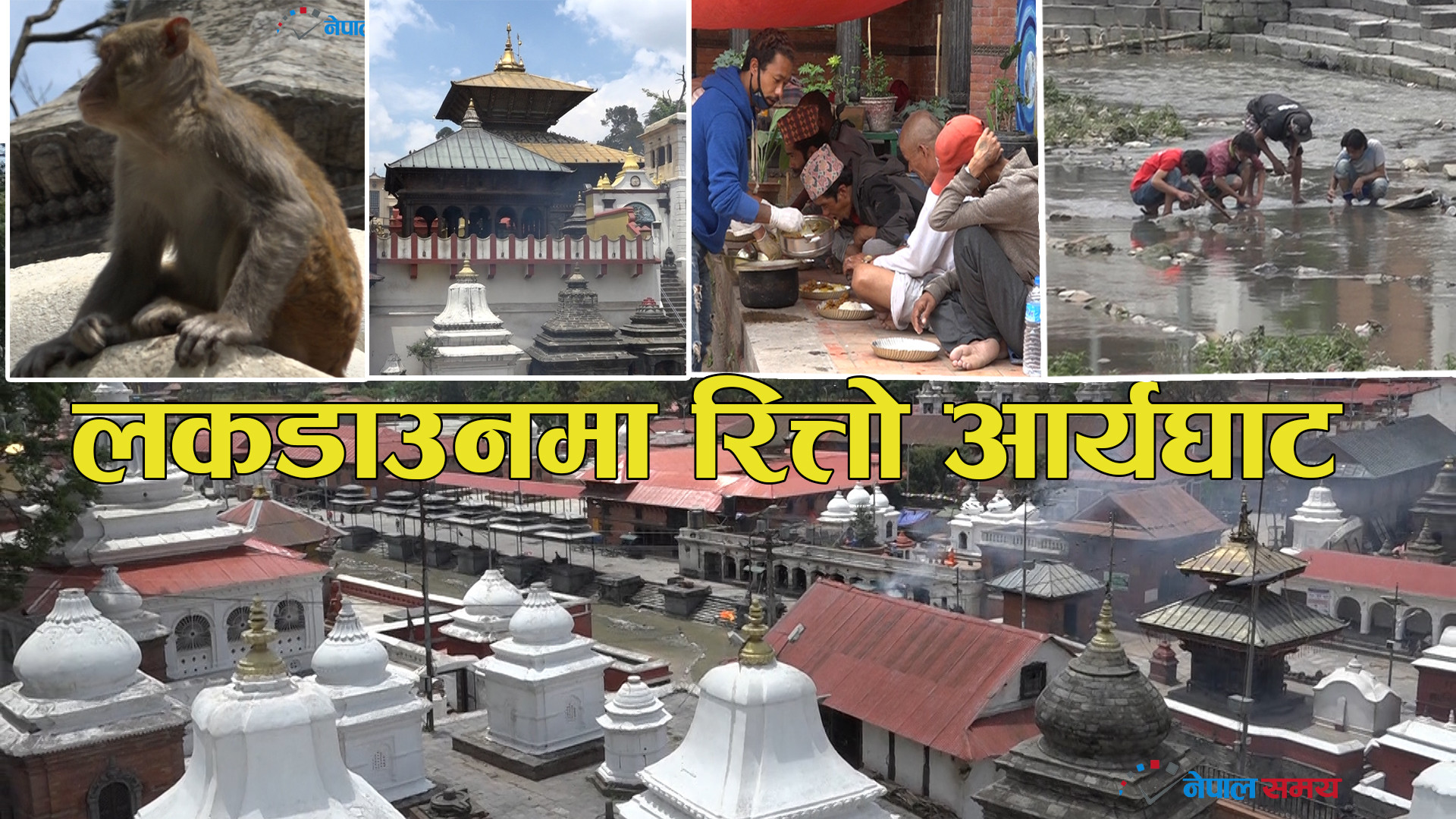 लकडाउनमा कस्तो छ पशुपति आर्यघाट ? (भिडियो)