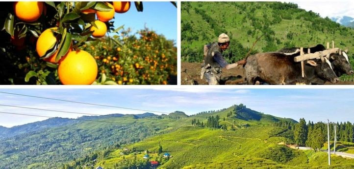 प्रदेश १ : खाद्य सुरक्षा र कृषि आधुनिकीकरण रणनीति बनाउँदै