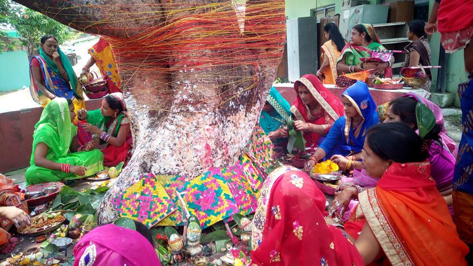 मिथिलामा ‘वट सावित्री’ पर्व मनाइँदै