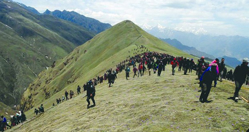 यार्सा संकलनमा राेक, घरखर्च कसरी चलाउनु ?