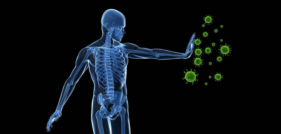 इम्युनिटी के हो, हाम्रो शरीर कसरी लड्छ संक्रमणसँग ?