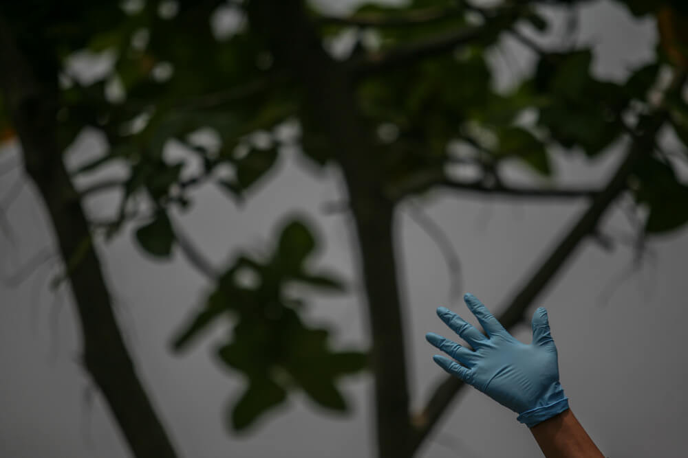 ‘जातीय भेदभाव कहिलेसम्म ?'