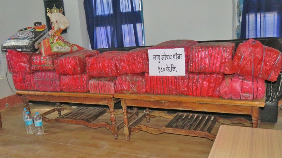 कुखुराको खोरबाट १ सय ८० किलो गाँजा बरामद