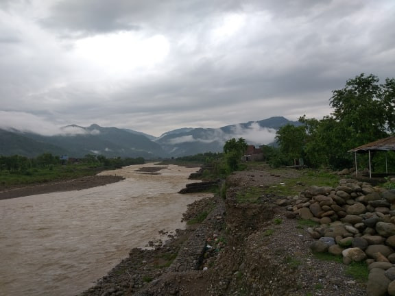 तारजालीले रोक्ला तिनाउको कटान ?