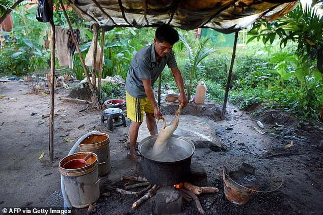 वर्षेनी ३० लाख कुकुर काटिने कम्बोडियाको सिम रेपमा कुकुरको मासुमा प्रतिबन्ध