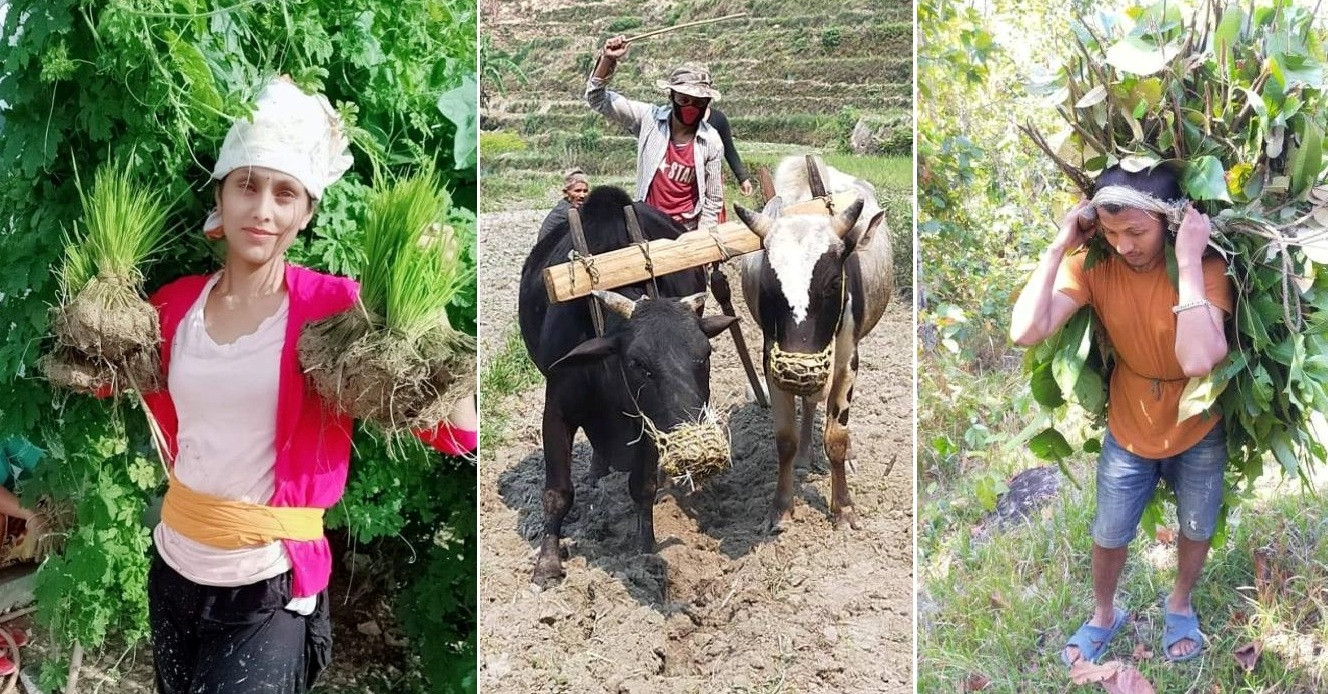 दोहोरी साँझका एक हजार कलाकारको भविष्य अन्योलमा
