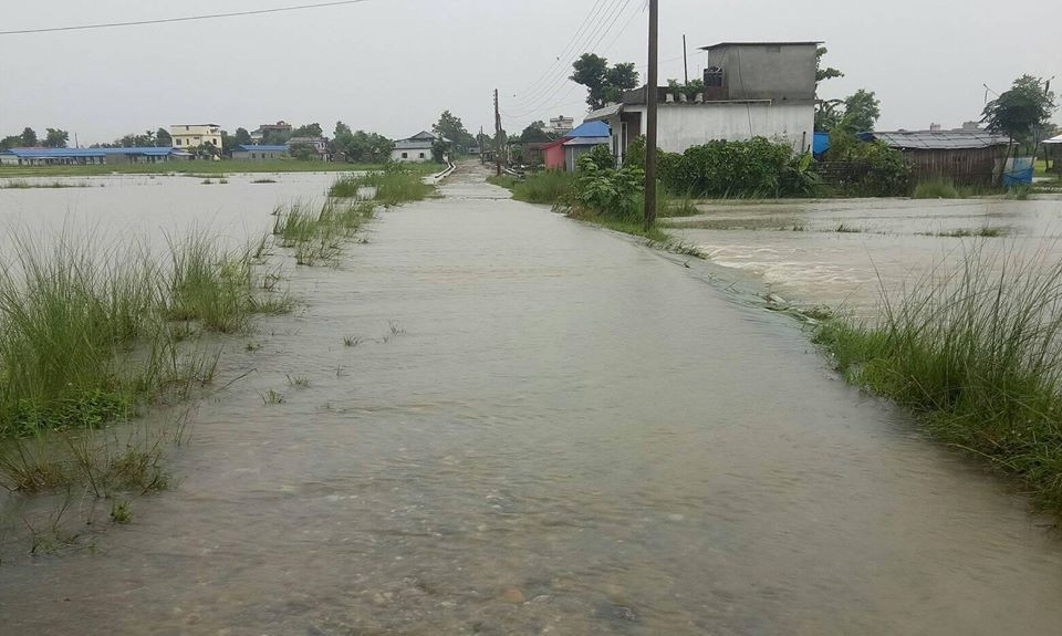 बाढी र डुबानका कारण मोरङमा डेढ दर्जन घरपरिवार विस्थापित, १५ स्थान उच्च जोखिममा