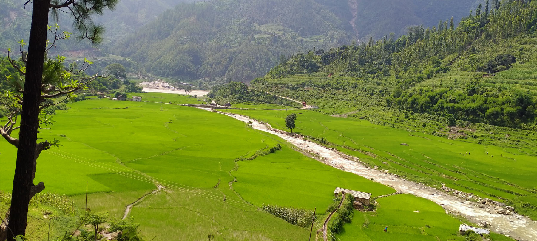 दुर्गमका विपन्नसम्म कृषि बिमा कार्यक्रम विस्तार गर्ने सरकारको नीति