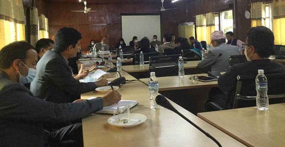 पत्रकारलाई निकाल्ने सञ्चारगृहमाथि कारबाही गर्न संसदीय समितिको निर्देशन