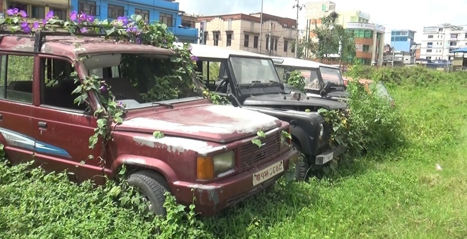 सरकारी सवारीसाधनबारे स्पष्ट मापदण्ड निर्धारण माग गर्दै सर्वोच्चमा रिट