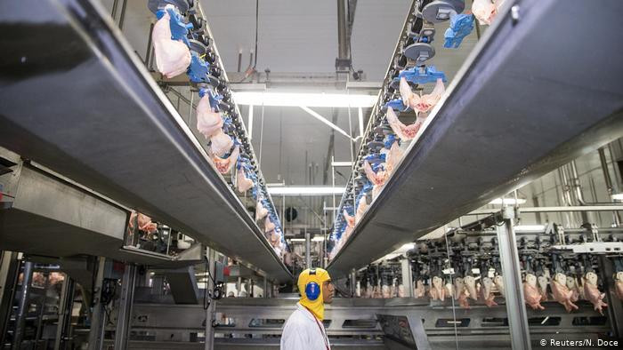 चीनमा आयातित फ्रोजन चिकनमा भेटियो कोरोना