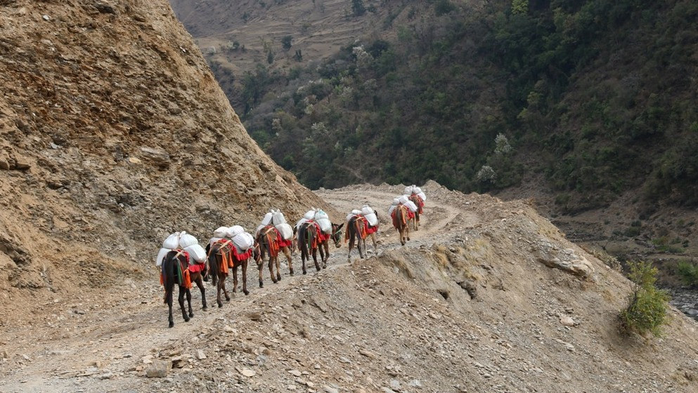 कर्णाली खाद्य संकट : सदरमुकाममा चामल थुप्रियो, गाउँका मान्छे भाेकै