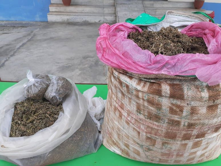 ११ किलो गाँजासहित एक पक्राउ
