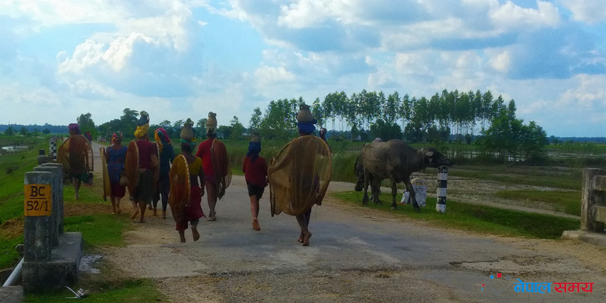 सहर त्रस्त, गाउँ मस्त (फोटोफिचर)