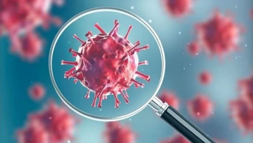 कोरोना भाइरसबाट विश्वभर नौ लाख ९८ हजारभन्दा बढीको मृत्यु