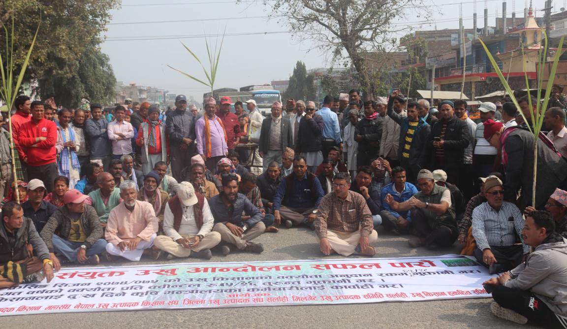 सर्लाहीका उखु किसानले अझै पाएनन् २१ करोड ७९ लाख, दसैंअघि भुक्तानी गर्न माग