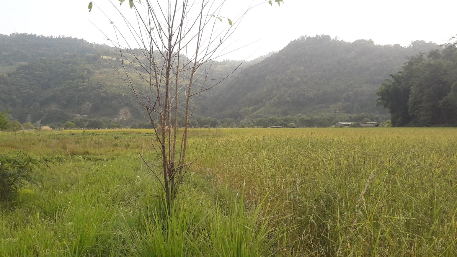 माछापुच्छ्रेमा एन्फा एकेडेमी : कामभन्दा हल्लीखल्ली बढी