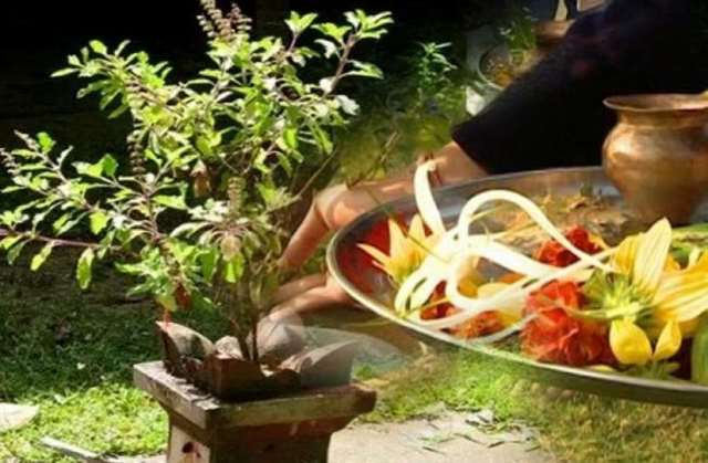 सौभाग्य, श्रेयका लागि गरिने आकाशदीप दान, कार्तिक स्नान र  तुलसी पूजा सुरु 