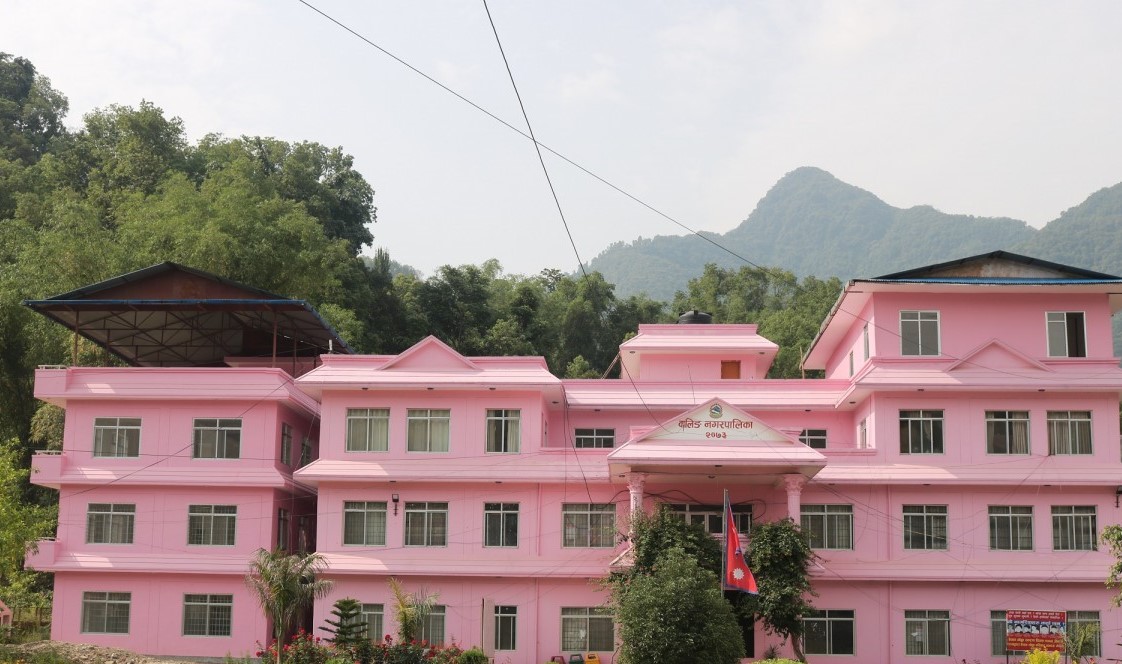 वालिङ नगरपालिकामा जनस्वास्थ्य विपद् घोषणा 