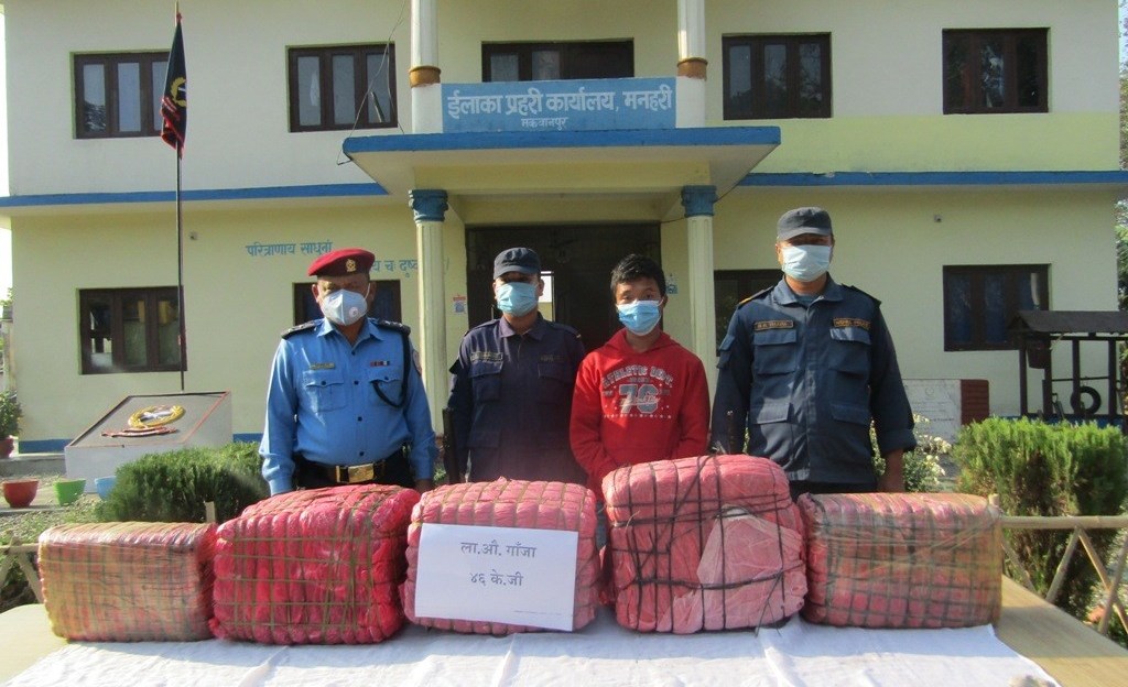 ४६ किलो गाँजासहित मकवानपुरबाट एकजना पक्राउ