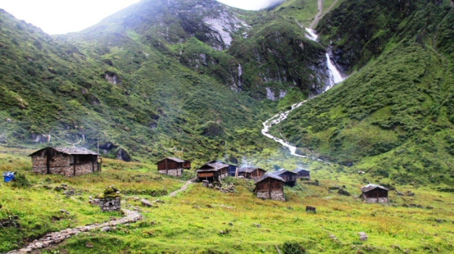 जाडोले सुनसान बन्यो हिमाली गाउँ तोक्पेगोला