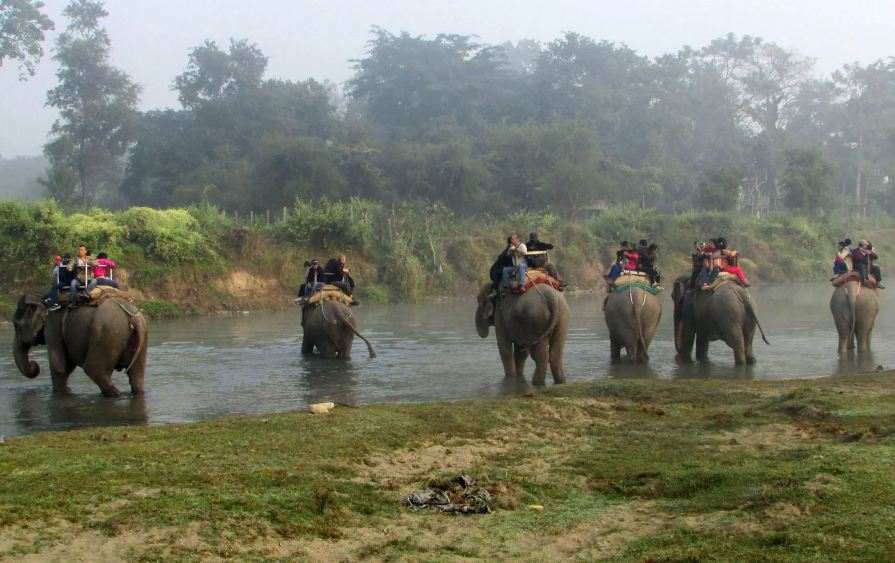 वर्ष दिनदेखि थलिएको सौराहा चलायमान बन्दै 