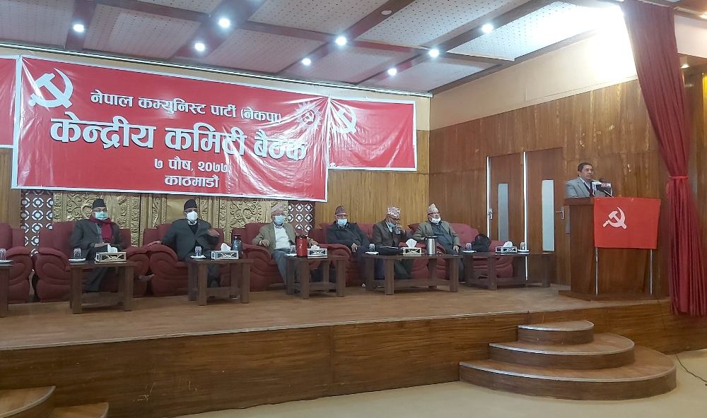 नेकपाको दाहाल-नेपाल समूहले १४ गते देशव्यापी विरोध प्रदर्शन गर्ने