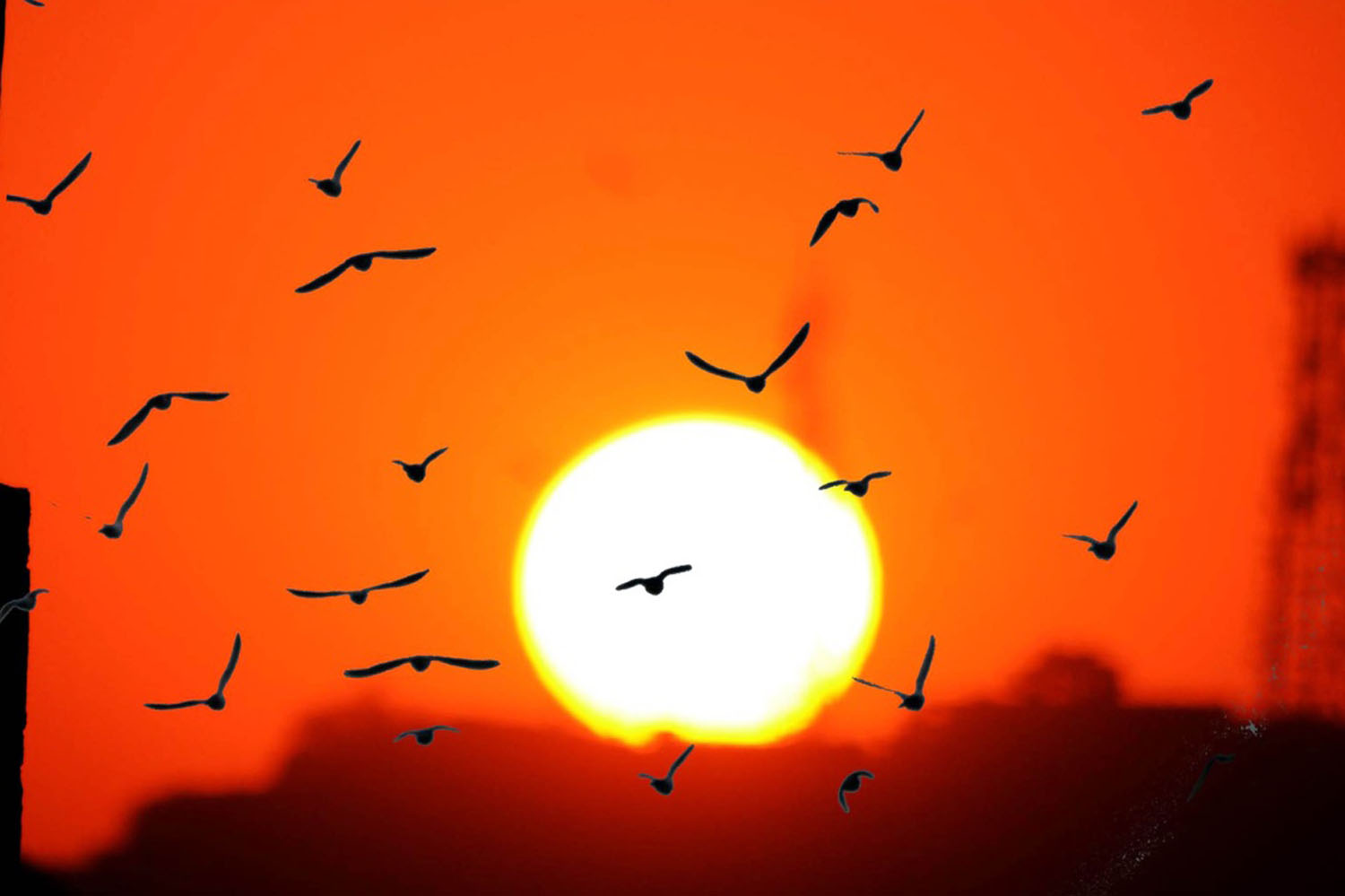 सन् २०२० का भुल्न नसकिने ११ तस्बिर