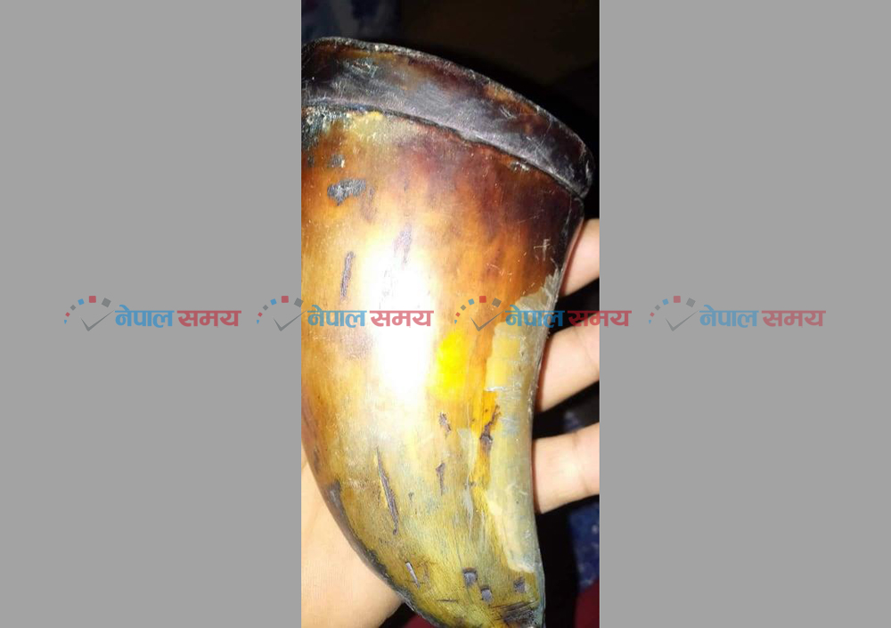 कैलालीमा गैँडाको खागसहित एकजना पक्राउ