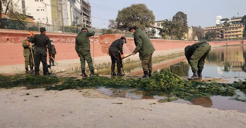 रानीपोखरीको लेउ र झ्याउ हटाउँदै महानगरपालिका  