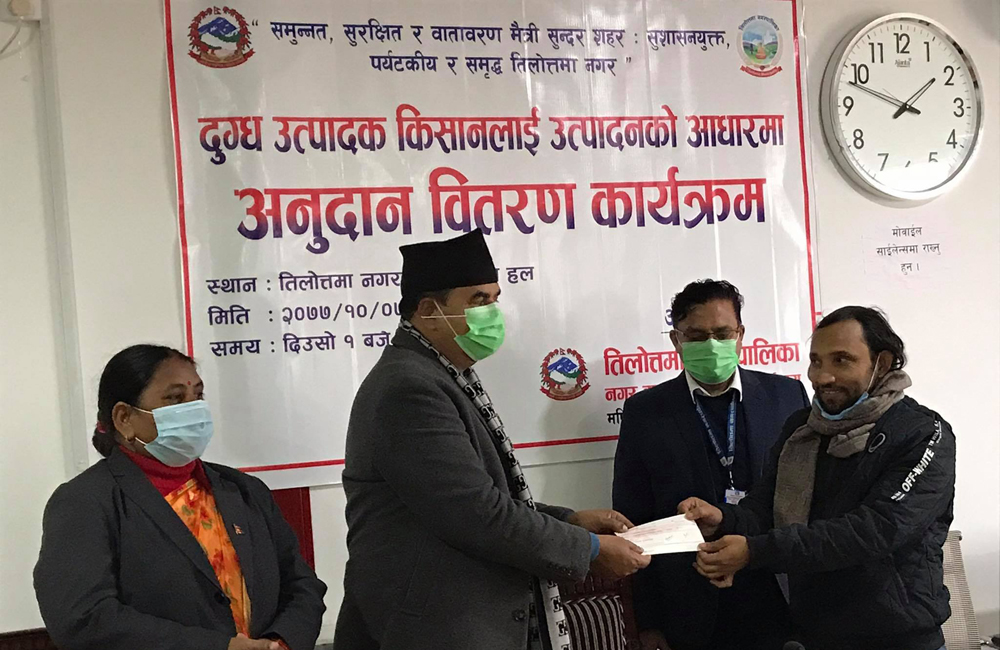 दुग्ध किसानलाई तिलोत्तमा नगरपालिकाको ४६ लाख अनुदान