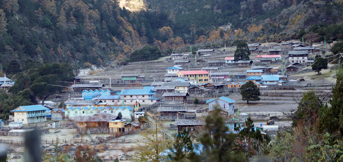 हिउँ र जाडो छल्न घुन्साका आधा परिवारले गाउँ छाडे