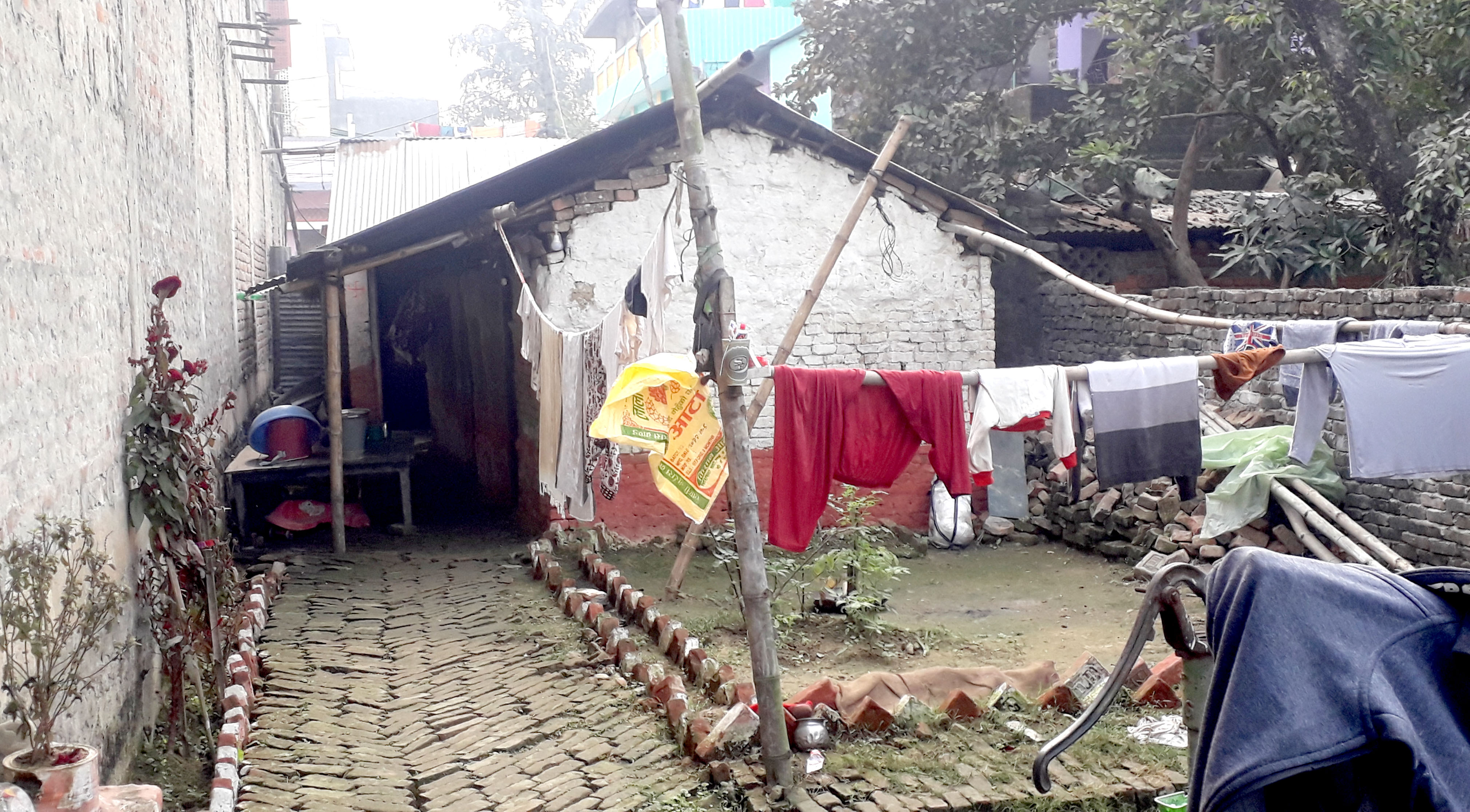 पूर्व कर्मचारीका छोरासँग क्याम्पसको जग्गा आफ्नो भएको फर्जी लालपूर्जा, क्वाटर खाली गर्न अटेरी 