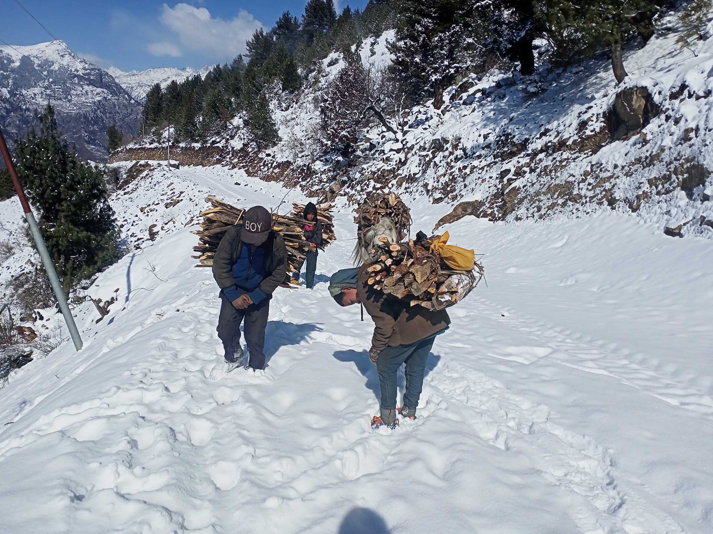 कलिलाे थाप्लामा दाउराकाे भारी