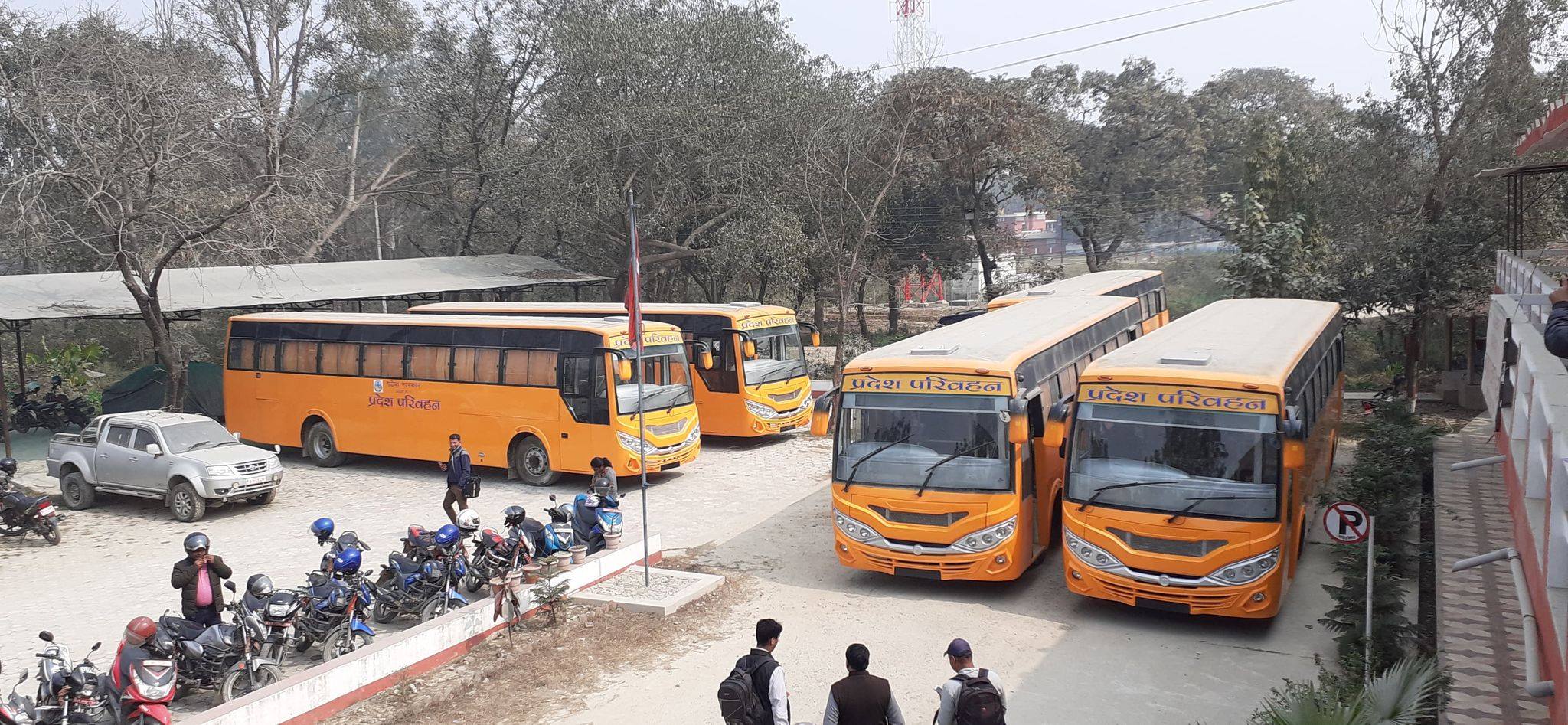 प्रदेश २ : फागुनभित्रै प्रदेश परिवहन सेवा सञ्चालनमा आउने