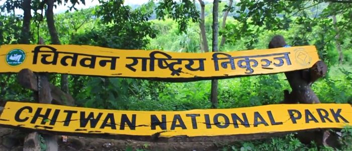 दुई वर्षको केटी गैँडा मृत फेला