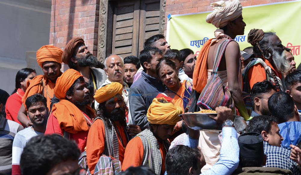 महाशिवरात्रि : पशुपतिमा साधुसन्तको स्वागतको तयारी