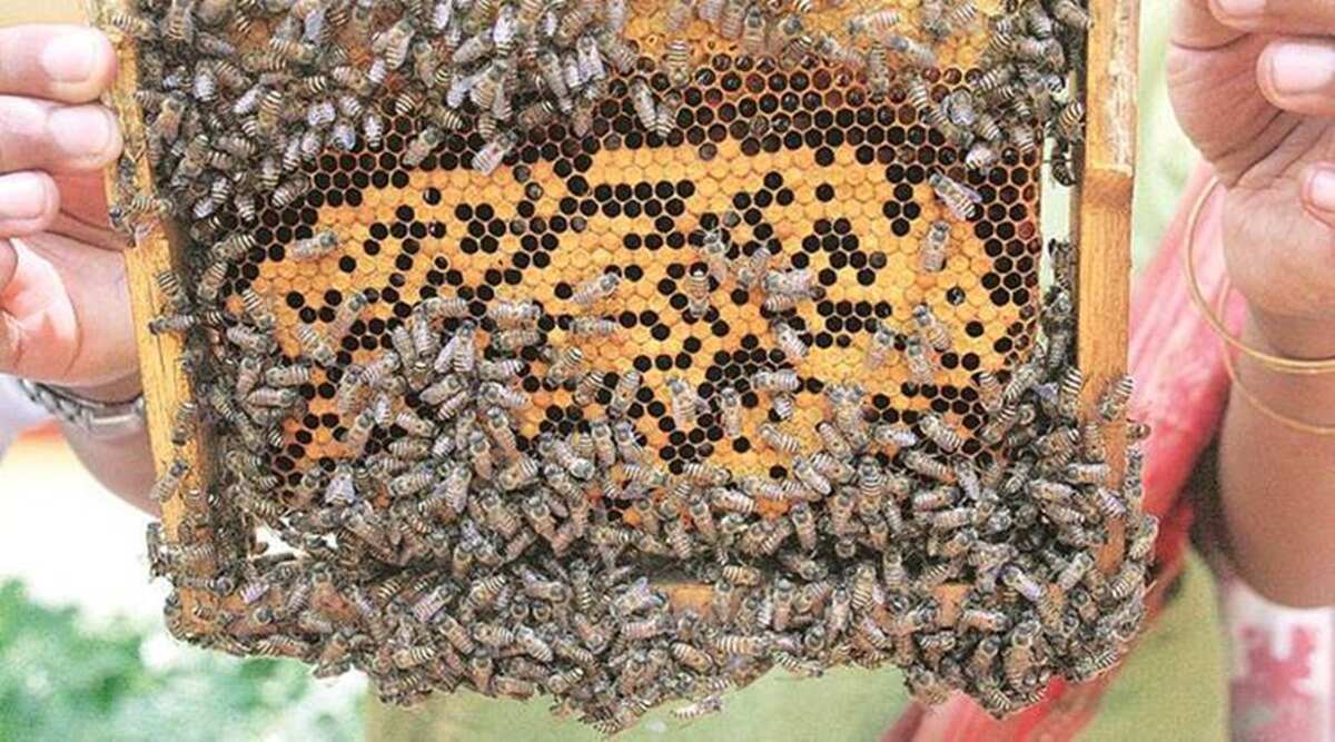 भारतबाट मौरीको घार र गोला ल्याउन लागेको भन्दै व्यवसायीको विरोध