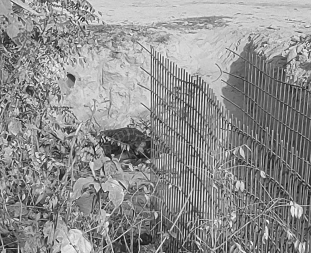 टाउकोमा धारिलो हतियार प्रहार गरिएको अवस्थामा युवकको शव फेला