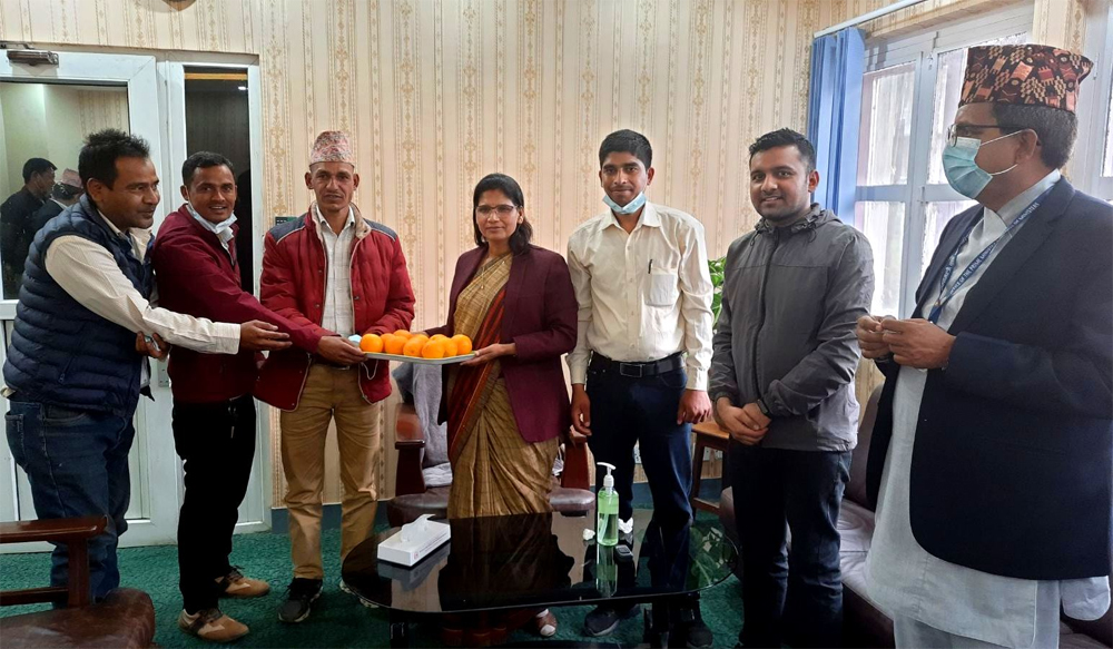 जुनारले बजार नपाएपछि डडेल्धुराका किसान काठमाडौंमा